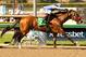 Photo Credit: Benoit Photography (via BloodHorse.com)
