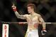 Dec 8, 2012, Seattle, WA, USA; Scott Jorgensen celebrates his victory over John Albert (not pictured) in a Lightweight bout at MMA on FOX 5 at Key Arena. Mandatory Credit: Joe Nicholson-USA TODAY Sports