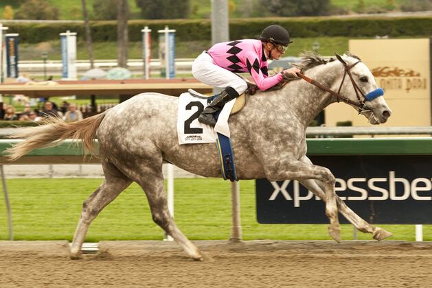 Knee Chip Knocks Flashback Off Ky. Derby Trail