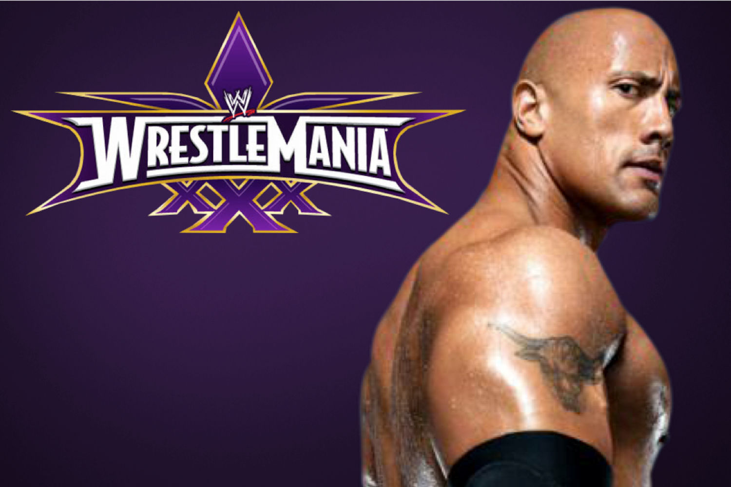 Wwe xxx mobile pics 90