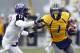 MORGANTOWN, WV - NOVEMBER 03: Tavon Austin #1 of the West Virginia Mountaineers carries the ball against the TCU Horned Frogs during the game on November 3, 2012 at Mountaineer Field in Morgantown, West Virginia. TCU defeated WVU in two overtimes 39-38. (Photo by Justin K. Aller/Getty Images)