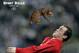 Photo Credit: Sports Balls Replaced with Cats