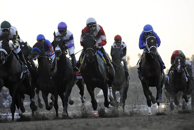 Baffert Horses Big Part of Cardiac Death Spike