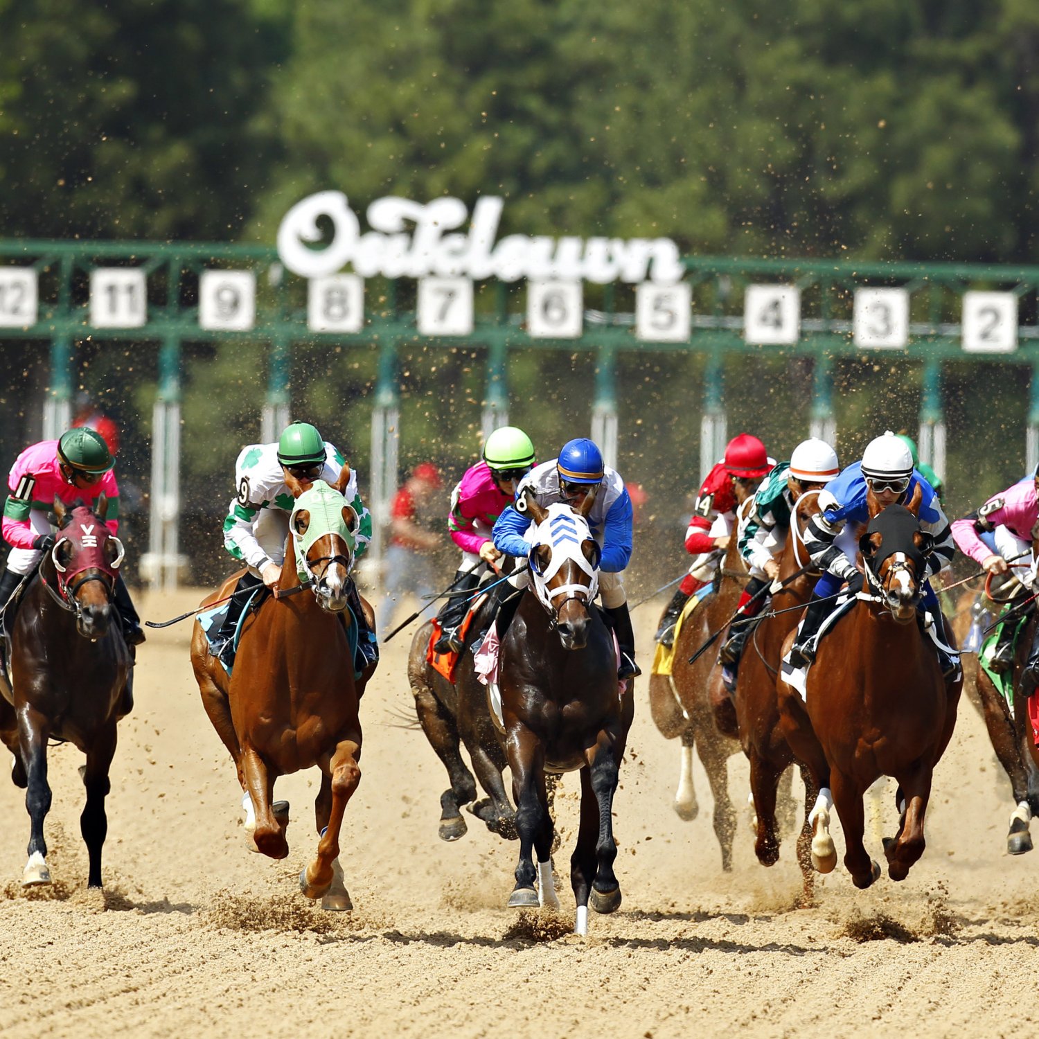 Oaklawn Park Entries And Results