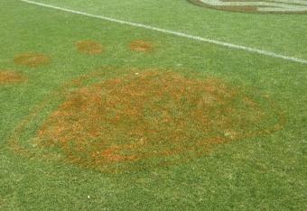 20130416-150917_crop_north