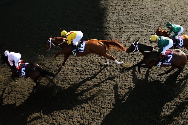 American Horse Council Elects Three Trustees
