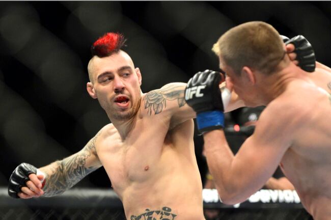 Danhardy_crop_north