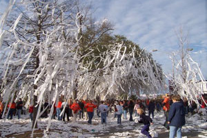 Toomers_roll_crop_north