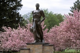 12560610-large_crop_north