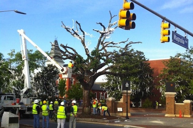 PHOTO: Toomer's Oaks Getting Removed at Auburn