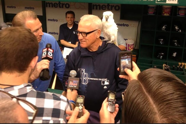 Joe Maddon Hangs out with a Cockatoo