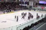 Bench-Clearing Brawl Erupts in QMJHL Playoff Game