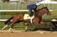 Photo courtesy of HorseRacingNation.com