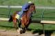 LOUISVILLE, KY - APRIL 26: Vyjack, trained by Rudy Rodriguez, is riden during the morning excercise session in preparation for the 139th Kentucky Derby at Churchill Downs on April 26, 2013 in Louisville, Kentucky. (Photo by Matthew Stockman/Getty Images)