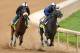 LOUISVILLE, KY - APRIL 27: Java's War, riden by Marvin Abrego and Frac Daddy, riden by Victor Lebron, work out together during the morning excercise session in preparation for the 139th Kentucky Derby at Churchill Downs on April 27, 2013 in Louisville, Kentucky. (Photo by Matthew Stockman/Getty Images)