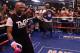 Floyd Mayweather Jr. looks to stay undefeated come Saturday night against Robert Guerrero