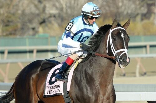Kentucky Derby Mane Character: Verrazano