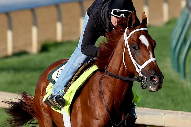 Kentucky Derby 2013 Entries: Recent Betting Odds for Each Horse