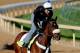 LOUISVILLE, KY - APRIL 26: Java's War, trained by Ken McPeek, is riden during the morning excercise session in preparation for the 139th Kentucky Derby at Churchill Downs on April 26, 2013 in Louisville, Kentucky. (Photo by Matthew Stockman/Getty Images)