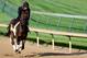 Orb, who currently has the best odds to win the Kentucky Derby