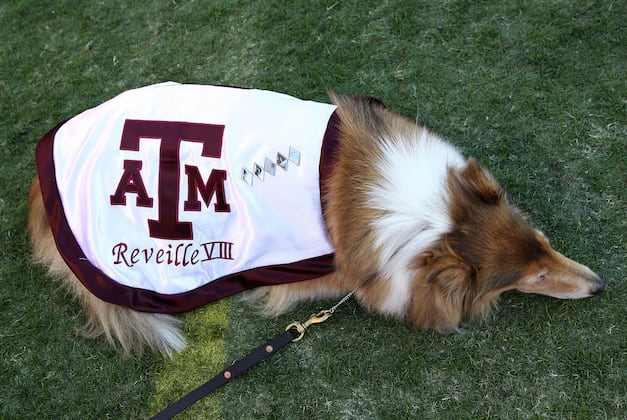 Local DJ Puts Spin on A&M's Recruiting Efforts