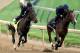 LOUISVILLE, KY - APRIL 29: Jennifer Patterson rides Orb (L) during the morning excercise session in preparation for the 139th Kentucky Derby at Churchill Downs on April 29, 2013 in Louisville, Kentucky. (Photo by Matthew Stockman/Getty Images)