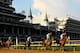 LOUISVILLE, KY - MAY 05: Mario Gutierrez (R) reacts atop I'll Have Another after winning the 138th running of the Kentucky Derby at Churchill Downs on May 5, 2012 in Louisville, Kentucky. (Photo by Elsa/Getty Images)