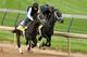 LOUISVILLE, KY - APRIL 27: Charming Kitten, riden by Patti Krotenko, and Revolutionary, riden by Calvin Borel, work out together during the morning excercise session in preparation for the 139th Kentucky Derby at Churchill Downs on April 27, 2013 in Louisville, Kentucky. (Photo by Matthew Stockman/Getty Images)