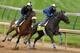 LOUISVILLE, KY - APRIL 27: Java's War, riden by Marvin Abrego and Frac Daddy, riden by Victor Lebron, work out together during the morning excercise session in preparation for the 139th Kentucky Derby at Churchill Downs on April 27, 2013 in Louisville, Kentucky. (Photo by Matthew Stockman/Getty Images)
