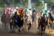 LOUISVILLE, KY - MAY 05: Bodemeister ridden by Mike Smith leads the field during the 138th running of the Kentucky Derby at Churchill Downs on May 5, 2012 in Louisville, Kentucky. (Photo by Elsa/Getty Images)
