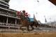 LOUISVILLE, KY - MAY 07: Jockey Javier Castellano, rding Derby Kitten #9, during the 137th Kentucky Derby at Churchill Downs on May 7, 2011 in Louisville, Kentucky. (Photo by Rob Carr/Getty Images)