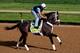 LOUISVILLE, KY - MAY 02: Oxbow trains on the track in preparation for the 2013 Kentucky Derby at Churchill Downs on May 2, 2013 in Louisville, Kentucky. (Photo by Rob Carr/Getty Images)