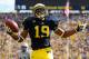 Devin Funchess is just one of many weapons Michigan has at tight end.