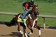 LOUISVILLE, KY - MAY 01: Goldencents trains on the track in preparation for the 2013 Kentucky Derby at Churchill Downs on May 1, 2013 in Louisville, Kentucky. (Photo by Rob Carr/Getty Images)