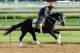 Black Onyx is a longshot with a legitimate chance of winning the 2013 Kentucky Derby.