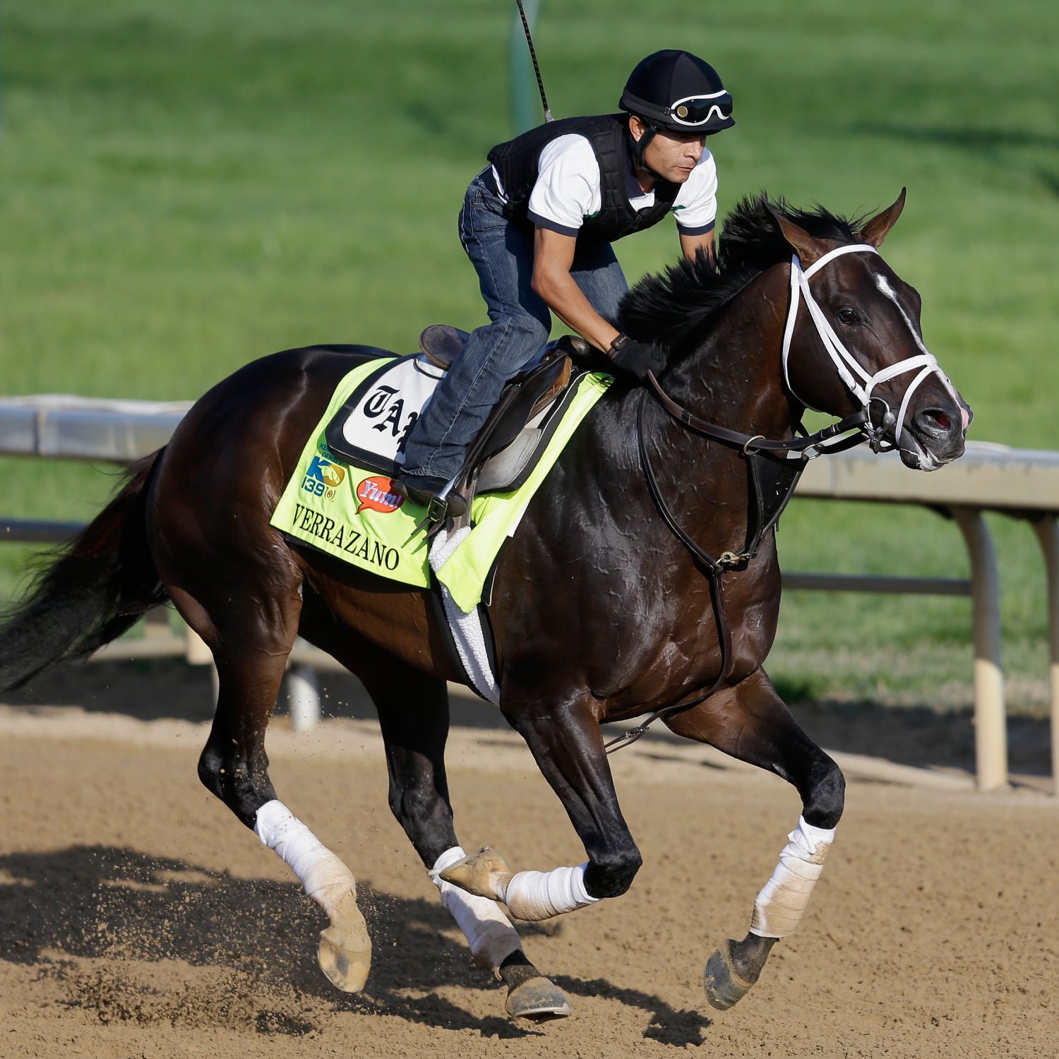 Today's Tri-State Dog Racing: The Top Contenders