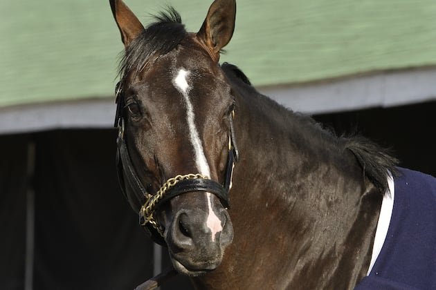 Kentucky Derby Weather 2013: How Rainy Conditions Will Impact Top Contenders