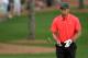 AUGUSTA, GA - APRIL 14: Tiger Woods of the United States looks on after he hits out of a bunker on the 7th hole during the final round of the 2013 Masters Tournament at Augusta National Golf Club on April 14, 2013 in Augusta, Georgia. (Photo by Harry How/Getty Images)