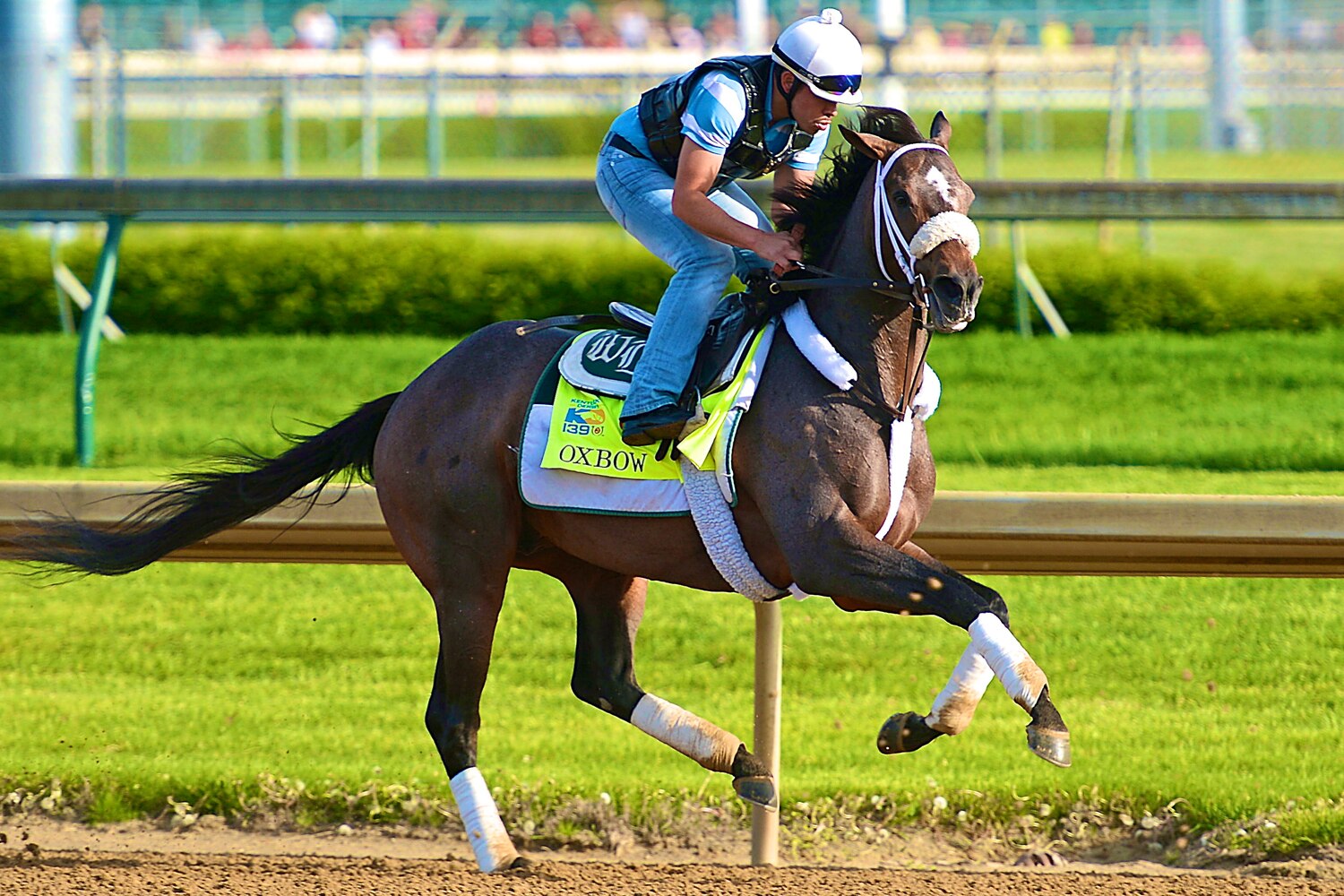 Kentucky Derby Odds 2013 Sleepers That May Win the Fastest 2 Minutes
