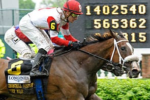 Stephanie's Kitten Comes Back a Winner