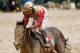LOUISVILLE, KY - MAY 04: Joel Rosario atop Orb reacts after winning the 139th running of the Kentucky Derby at Churchill Downs on May 4, 2013 in Louisville, Kentucky. (Photo by Matthew Stockman/Getty Images)