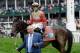 LOUISVILLE, KY - MAY 04: Trainer Shug McGaughey (L) walks with Orb ridden by jockey Joel Rosario after winning the 139th running of the Kentucky Derby at Churchill Downs on May 4, 2013 in Louisville, Kentucky. (Photo by Rob Carr/Getty Images)