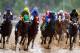LOUISVILLE, KY - MAY 04: The field races down the front stretch during the 139th running of the Kentucky Derby at Churchill Downs on May 4, 2013 in Louisville, Kentucky. (Photo by Andy Lyons/Getty Images)