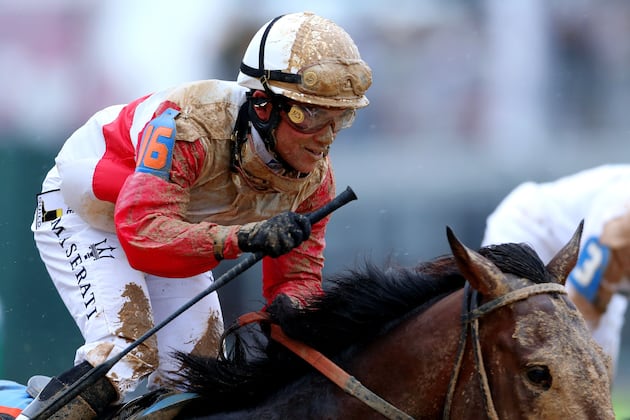 Orb Won't Win at 2013 Preakness