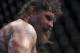 Roy Nelson - Esther Lin/MMAFighting