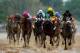The 139th running of the Kentucky Derby came complete with some very impressive performances.