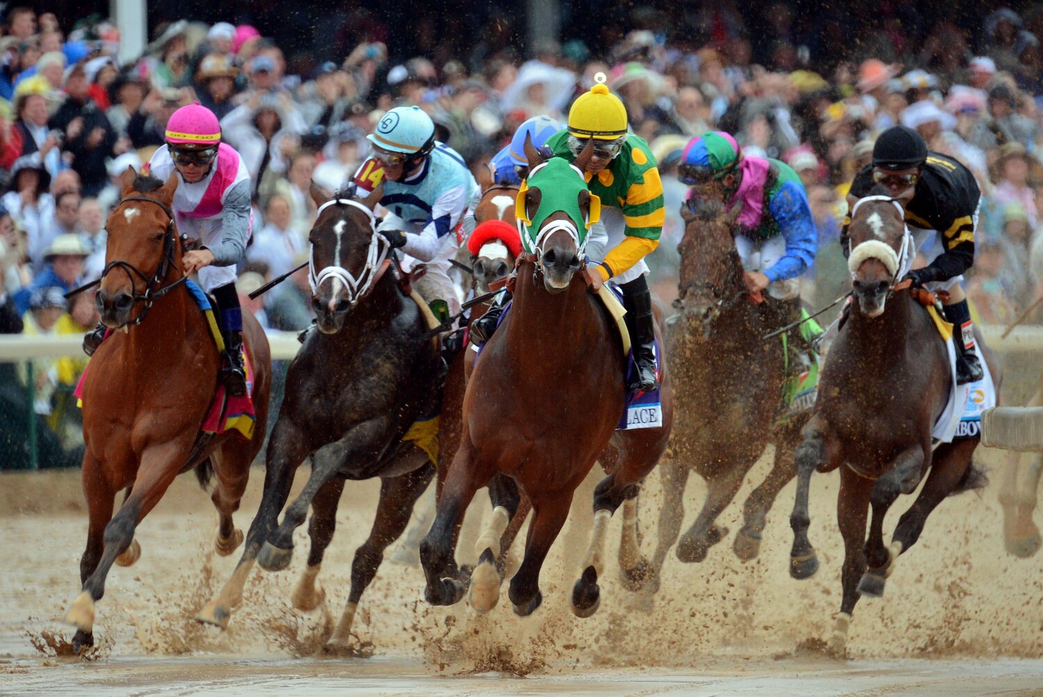 Kentucky Derby 2013 Results Top Horses Heading into Preakness Stakes