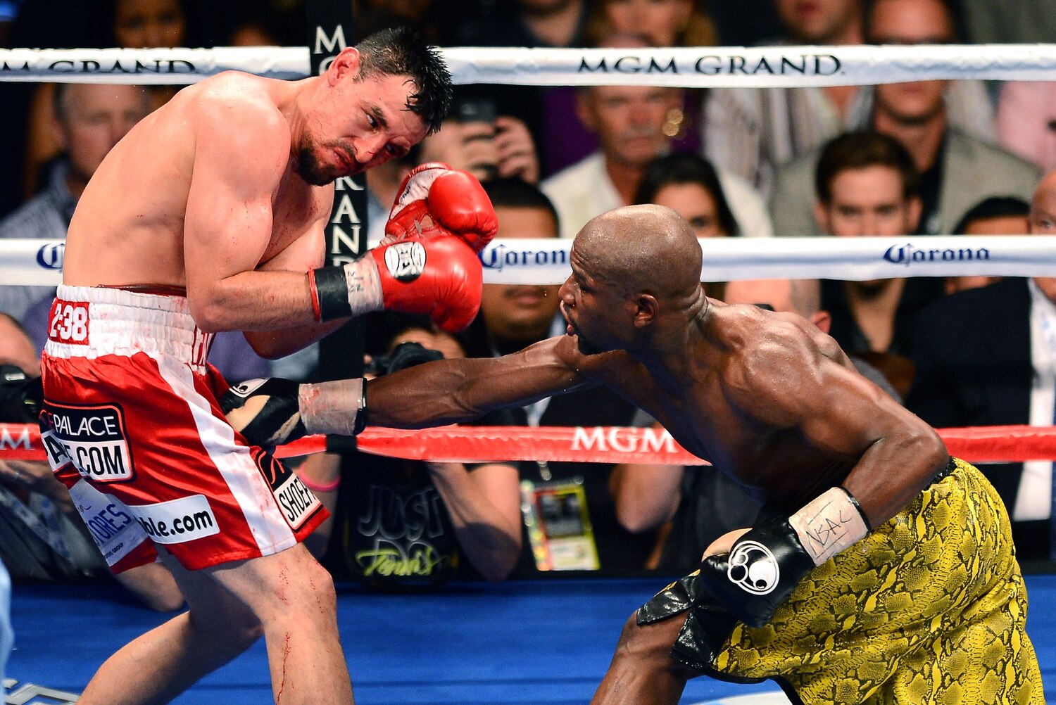 Inside The Lab: Analyzing The Genetics Of Floyd Mayweather'S Ring Dominance - br9fc1m