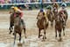 LOUISVILLE, KY - MAY 04: Orb ridden by Joel Rosario comes down the final stretch on his way to winning the 139th running of the Kentucky Derby at Churchill Downs on May 4, 2013 in Louisville, Kentucky. (Photo by Matthew Stockman/Getty Images)