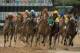 LOUISVILLE, KY - MAY 04: Javier Castellano (center) atop Normandy Invasion leads the field as Joel Rosario atop Orb (far left) races from behind through the fourth turn to victory in the running of the 139th Kentucky Derby at Churchill Downs on May 4, 2013 in Louisville, Kentucky. (Photo by Doug Pensinger/Getty Images)